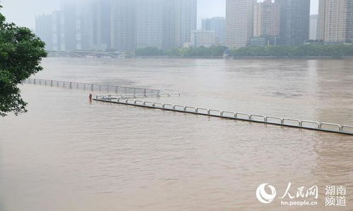 湖南长沙 湘江水位持续上涨 橘子洲景区步道被淹