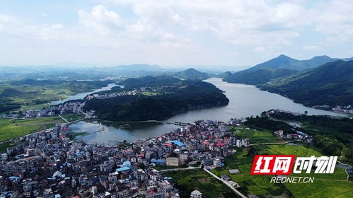 湖南新田 金陵湖畔风光美 组图